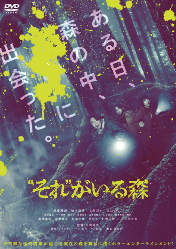 Standard version DVD image